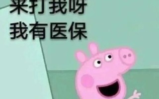 《野猪佩奇最新出装攻略！》（掌握关键装备，畅享游戏乐趣）