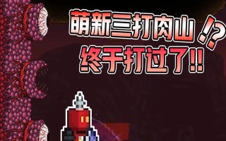 探索泰拉瑞亚肉山的至强装备（挑战肉山，全面升级你的装备）