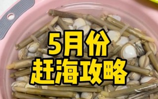 北海赶海攻略（北海赶海攻略技能，让您成为赶海高手）