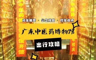 以四神鼎之怨攻略2药（药物疗法与中草药结合，重塑身心平衡的奇迹）