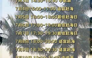 威海赶海攻略