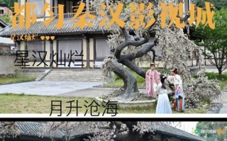 《星河灿烂手游攻略大揭秘》（从零到高手，轻松称霸星河世界！）