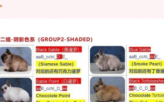 《探索侏儒兔手游的无限魅力》（解密最强攻略，成为顶级玩家）