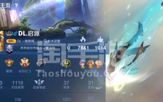 《无尽荣耀——边路皇子手游出装攻略》（突破困境，登临巅峰——打造最强边路皇子）