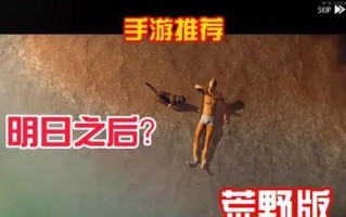 《荒岛海滩手游攻略大揭秘》（探索无限可能，生存求生之道！）