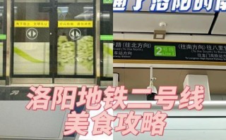 领略盛世牡丹的洛阳之旅（探寻花海仙境，畅游历史名城）