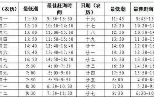 南通赶海攻略（南通赶海的关键技能和实用建议，助你成为赶海高手！）