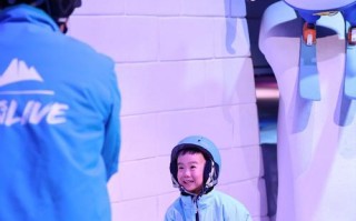 怪兽阿尔卑斯出装攻略（掌握阿尔卑斯，征服竞技场！）
