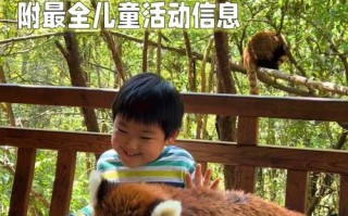 小熊猫启蒙游戏攻略（通过游戏帮助孩子提升认知与动手能力，让他们在快乐中学习成长）