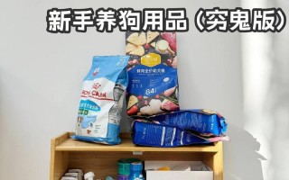 《攻略千日星垂，助你养出健康宠物》（从饲料选择到疾病防治，掌握关键攻略，让你的宠物健康快乐一生）
