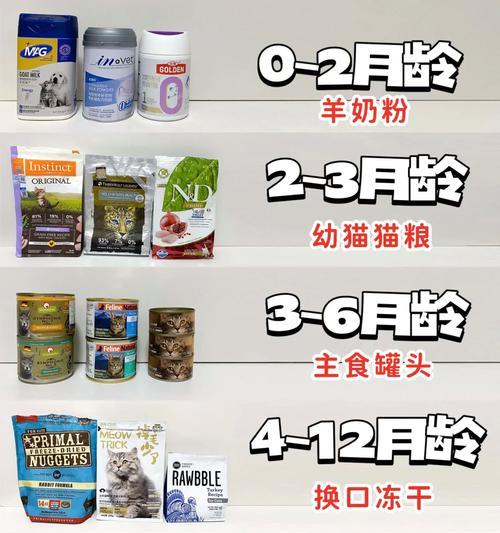神医奶猫出装攻略（打造最强女主角！跟着攻略，成为最具威力的神医奶猫！）-第2张图片-游戏攻略港
