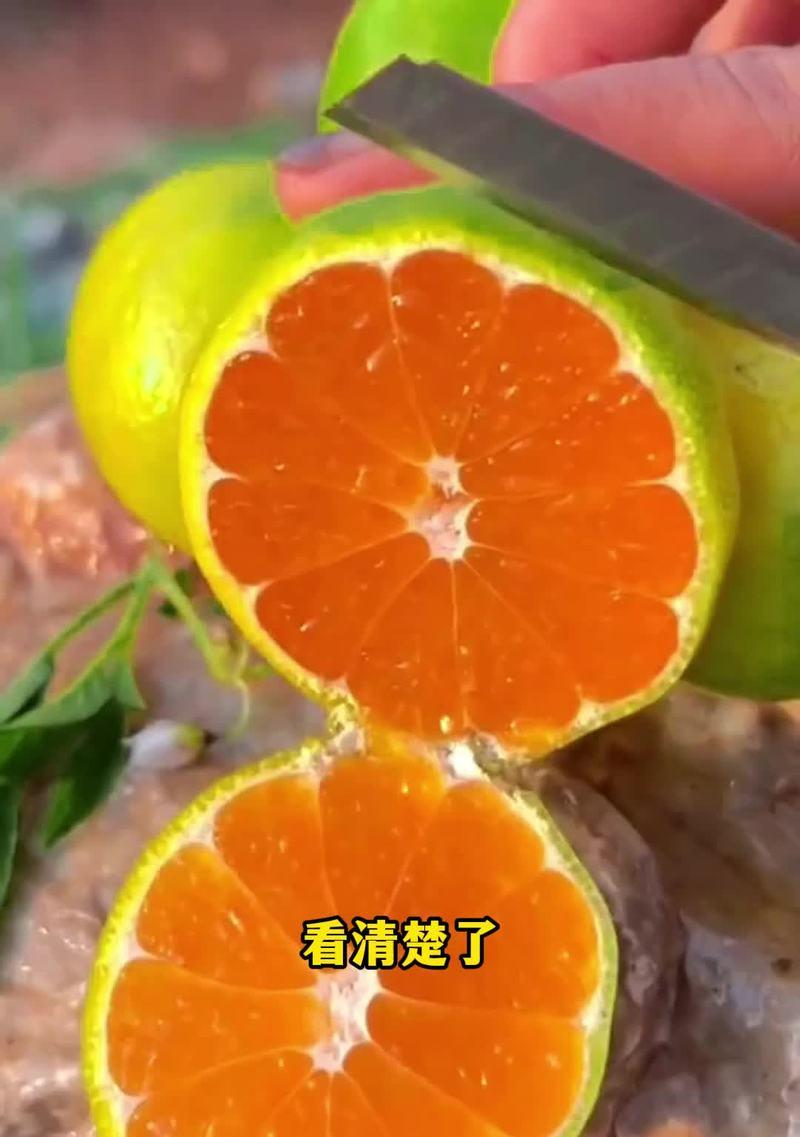 橘子天花板出装攻略最新（探索橘子天花板出装的奥秘，提升战斗力！）-第2张图片-游戏攻略港
