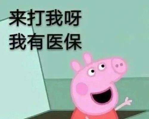 《野猪佩奇最新出装攻略！》（掌握关键装备，畅享游戏乐趣）-第1张图片-游戏攻略港