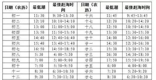 北戴河赶海攻略（北戴河赶海攻略，掌握技能成为专家）-第2张图片-游戏攻略港
