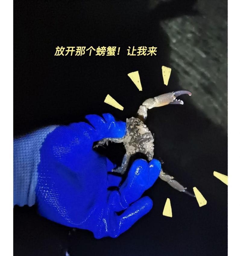 北戴河赶海攻略（北戴河赶海攻略，掌握技能成为专家）-第3张图片-游戏攻略港