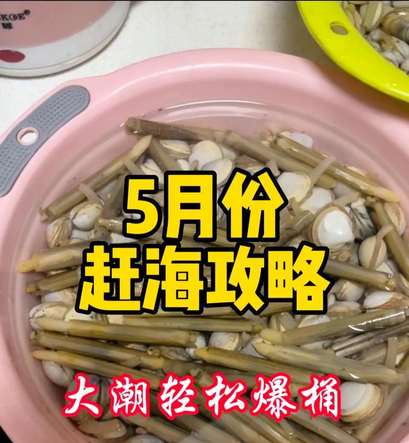 北海赶海攻略（北海赶海攻略技能，让您成为赶海高手）-第1张图片-游戏攻略港