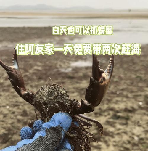 北海赶海攻略（北海赶海攻略技能，让您成为赶海高手）-第2张图片-游戏攻略港