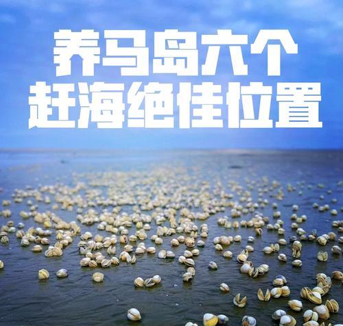 南戴河赶海攻略——掌握技巧尽享丰收（南戴河赶海技能分享，轻松捕获丰富海鲜美食）-第1张图片-游戏攻略港