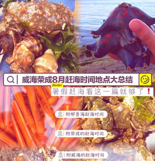 南戴河赶海攻略——掌握技巧尽享丰收（南戴河赶海技能分享，轻松捕获丰富海鲜美食）-第2张图片-游戏攻略港