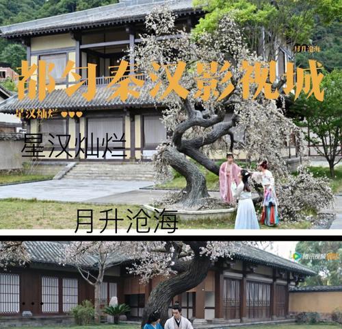 《星河灿烂手游攻略大揭秘》（从零到高手，轻松称霸星河世界！）-第1张图片-游戏攻略港