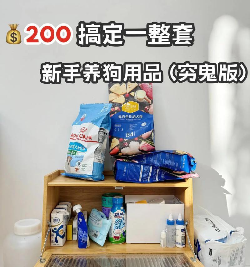 《攻略千日星垂，助你养出健康宠物》（从饲料选择到疾病防治，掌握关键攻略，让你的宠物健康快乐一生）-第1张图片-游戏攻略港