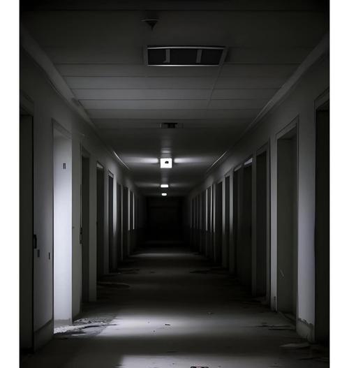废弃医院逃脱续攻略（面对恐怖与死亡，你能否逃出鬼影重重的废弃医院？）-第1张图片-游戏攻略港