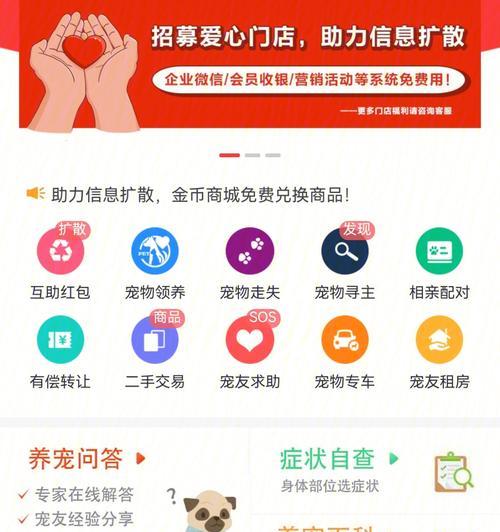 宠物打怪升级游戏攻略（掌握攻略，打造最强宠物团队！）-第2张图片-游戏攻略港