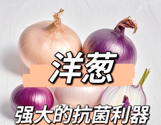 洋葱王国游戏攻略（跟随这些攻略，成为洋葱王国的统治者吧！）-第2张图片-游戏攻略港