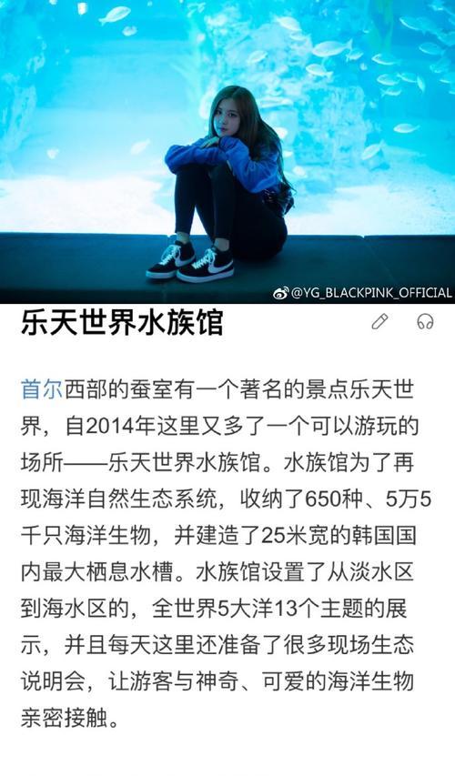 《探秘乐天世界水族馆游戏攻略》（解锁精彩海洋奇观，畅游水下世界！）-第1张图片-游戏攻略港