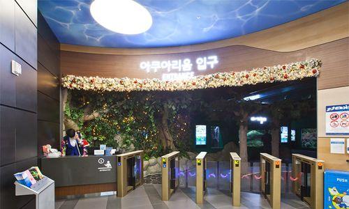 《探秘乐天世界水族馆游戏攻略》（解锁精彩海洋奇观，畅游水下世界！）-第3张图片-游戏攻略港